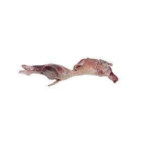 Fresh Lamm Halal (meat) bakra ka gosht Frozen 0.8 -1kg