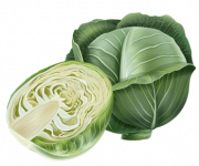 cabbage-pvnpoaa2l76utnmauhvr9cllrj0hqecmgz8zn59qm8